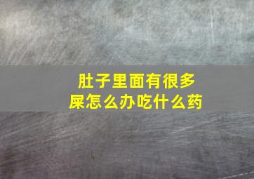 肚子里面有很多屎怎么办吃什么药