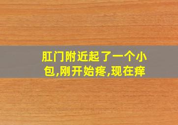 肛门附近起了一个小包,刚开始疼,现在痒