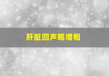 肝脏回声略增粗