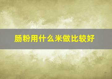 肠粉用什么米做比较好