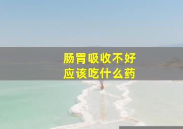 肠胃吸收不好应该吃什么药