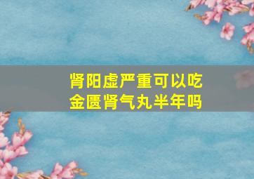 肾阳虚严重可以吃金匮肾气丸半年吗