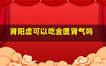 肾阳虚可以吃金匮肾气吗