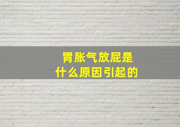 胃胀气放屁是什么原因引起的