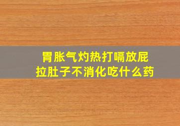 胃胀气灼热打嗝放屁拉肚子不消化吃什么药