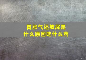 胃胀气还放屁是什么原因吃什么药