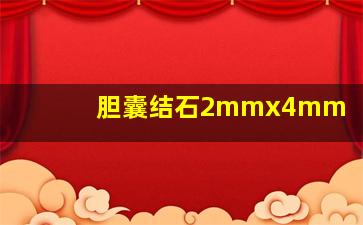 胆囊结石2mmx4mm