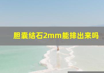 胆囊结石2mm能排出来吗