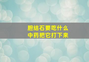 胆结石要吃什么中药把它打下来