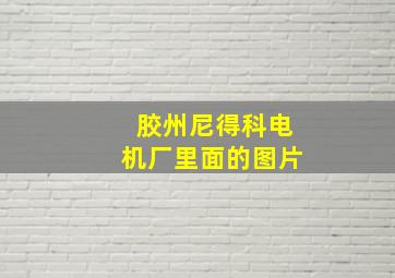 胶州尼得科电机厂里面的图片