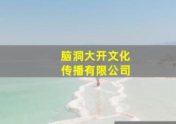 脑洞大开文化传播有限公司