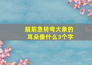 脑筋急转弯大象的耳朵像什么3个字