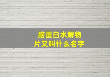 脑蛋白水解物片又叫什么名字