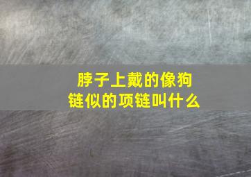 脖子上戴的像狗链似的项链叫什么