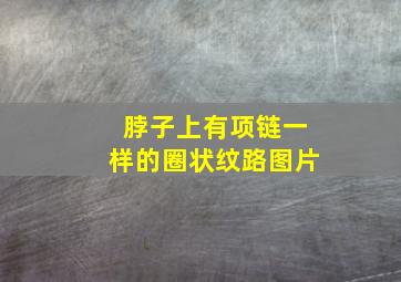 脖子上有项链一样的圈状纹路图片