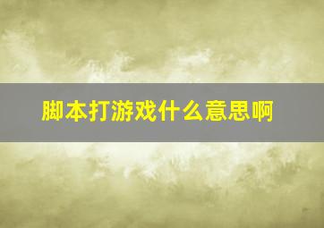 脚本打游戏什么意思啊