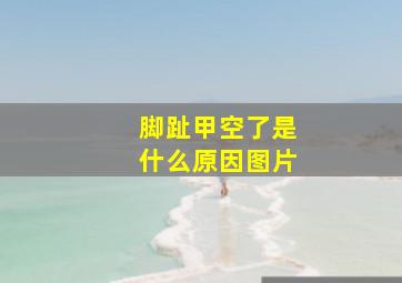 脚趾甲空了是什么原因图片