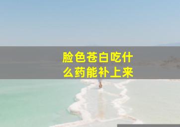 脸色苍白吃什么药能补上来