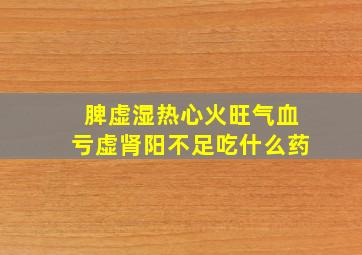 脾虚湿热心火旺气血亏虚肾阳不足吃什么药