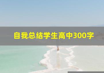 自我总结学生高中300字