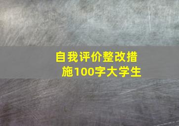 自我评价整改措施100字大学生