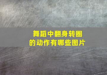 舞蹈中翻身转圈的动作有哪些图片