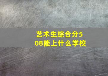 艺术生综合分508能上什么学校