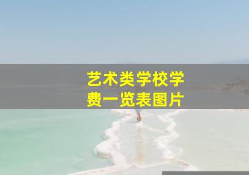 艺术类学校学费一览表图片