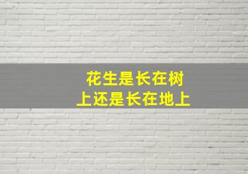 花生是长在树上还是长在地上