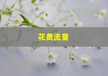 花费流量