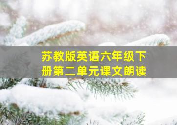 苏教版英语六年级下册第二单元课文朗读