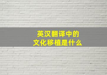 英汉翻译中的文化移植是什么