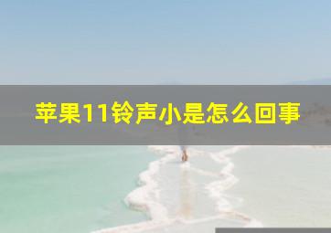 苹果11铃声小是怎么回事