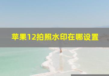 苹果12拍照水印在哪设置