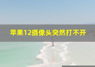 苹果12摄像头突然打不开