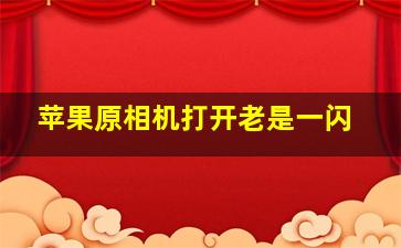 苹果原相机打开老是一闪