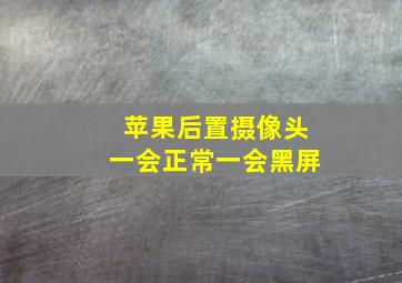 苹果后置摄像头一会正常一会黑屏