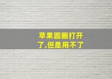 苹果圆圈打开了,但是用不了