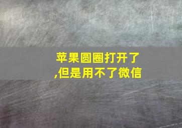 苹果圆圈打开了,但是用不了微信