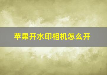 苹果开水印相机怎么开