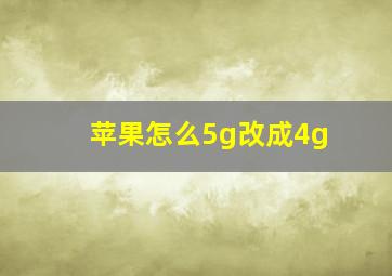 苹果怎么5g改成4g