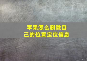 苹果怎么删除自己的位置定位信息