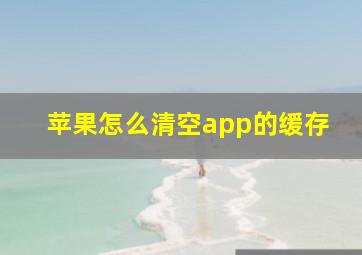 苹果怎么清空app的缓存