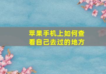 苹果手机上如何查看自己去过的地方