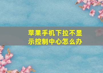 苹果手机下拉不显示控制中心怎么办