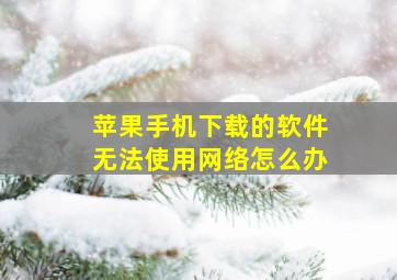 苹果手机下载的软件无法使用网络怎么办