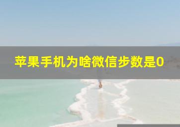 苹果手机为啥微信步数是0