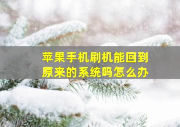 苹果手机刷机能回到原来的系统吗怎么办