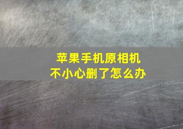 苹果手机原相机不小心删了怎么办