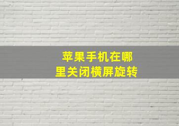 苹果手机在哪里关闭横屏旋转